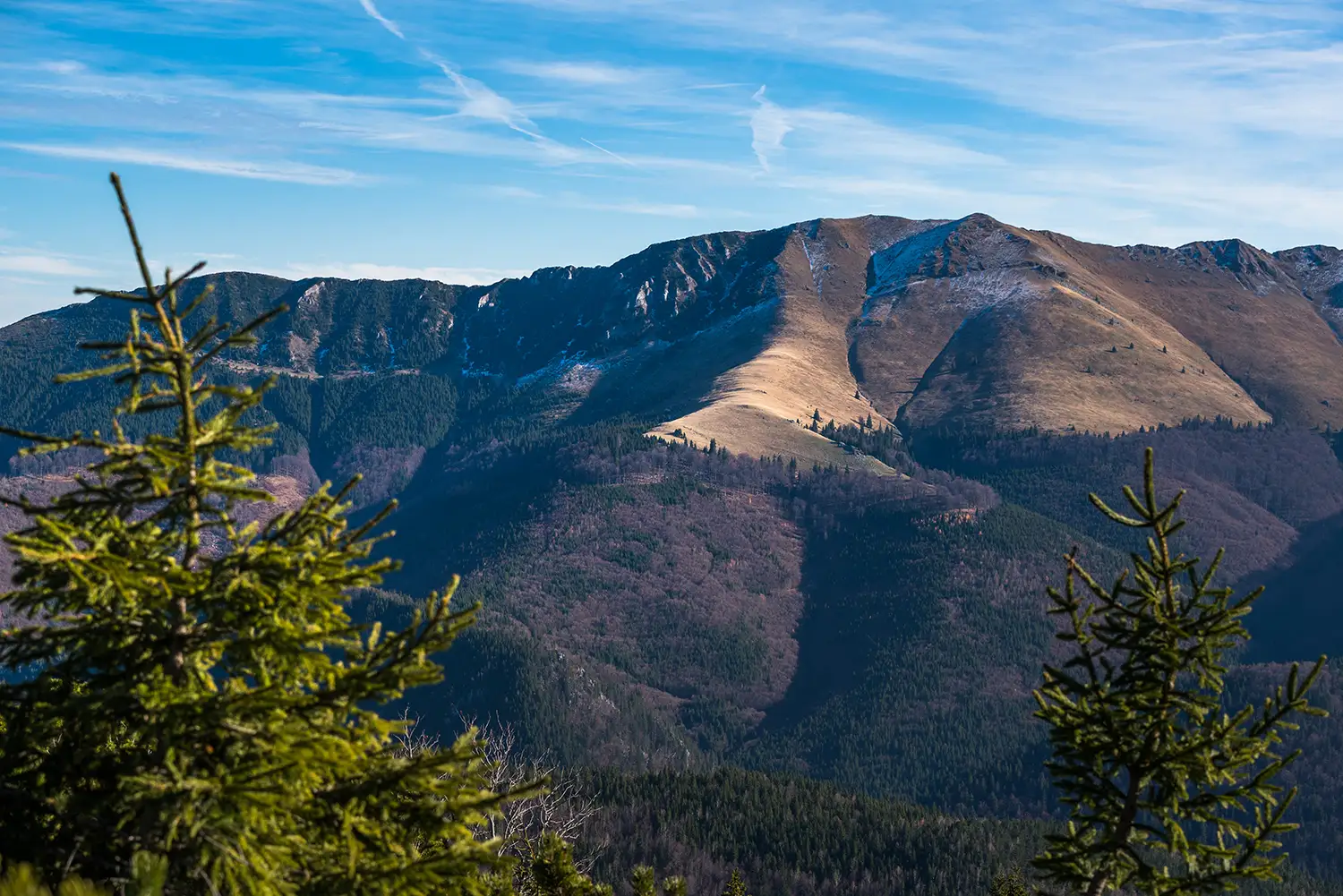 Munții Piule-Iorgovanu