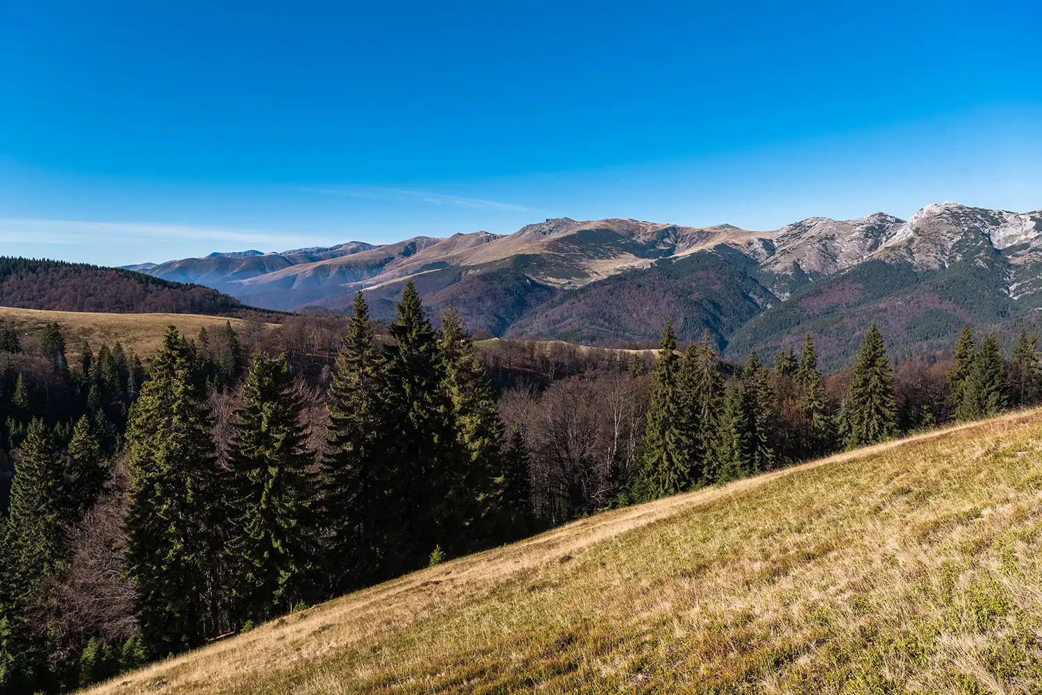 Munții Piule-Iorgovanu
