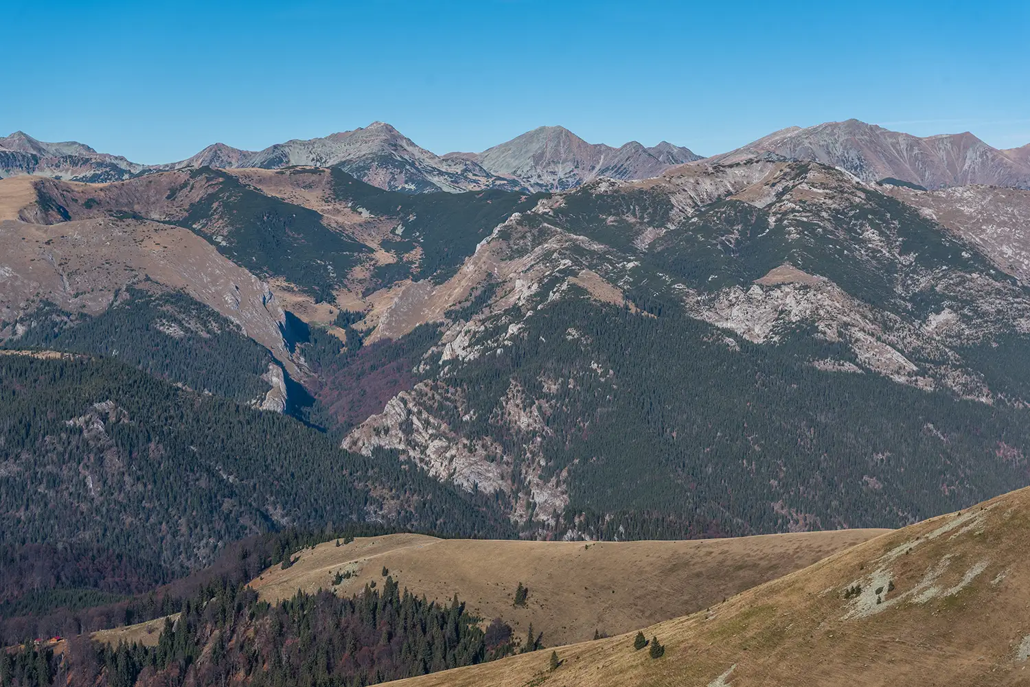 Munții Piule-Iorgovanu