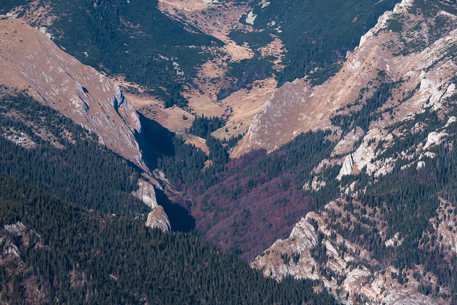 Munții Piule-Iorgovanu