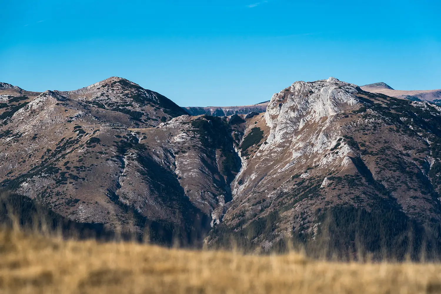 Munții Piule-Iorgovanu