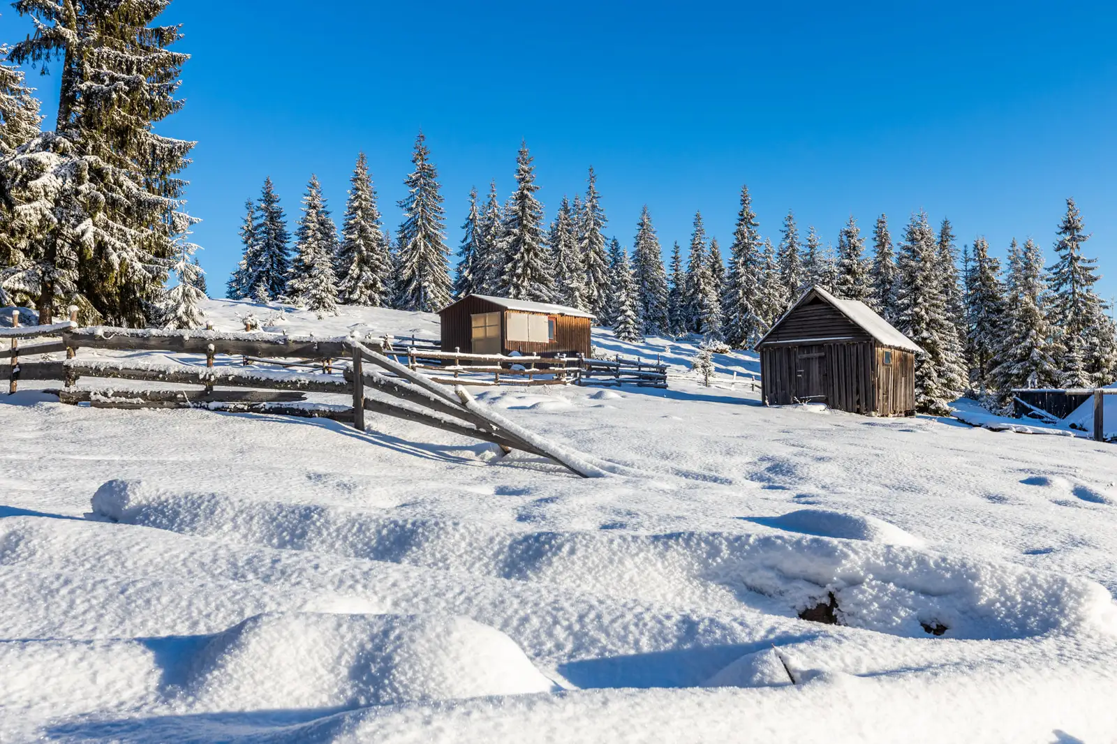  Colibele pe dealuri - Marius Turc