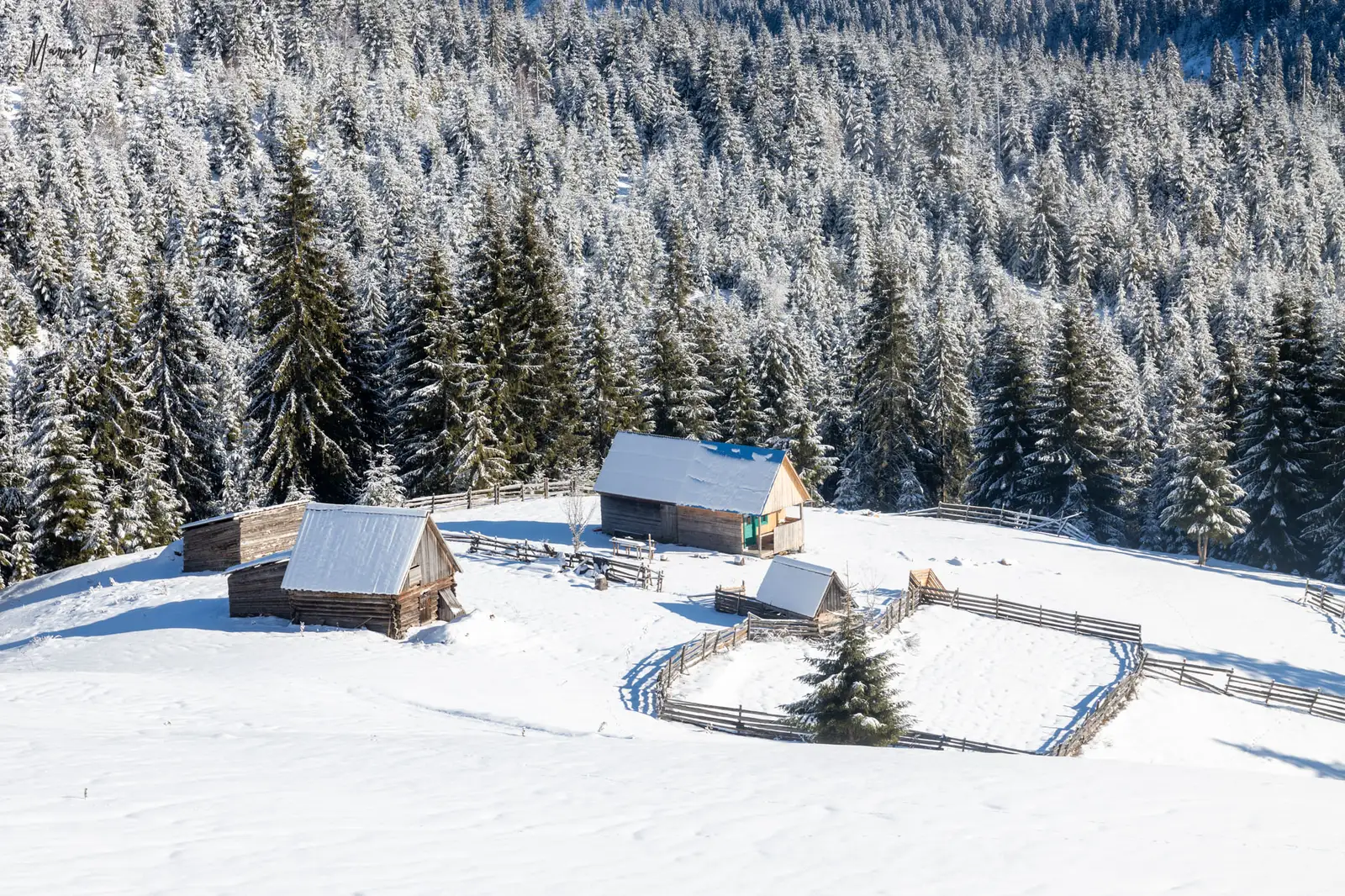  Gospodarie - Marius Turc