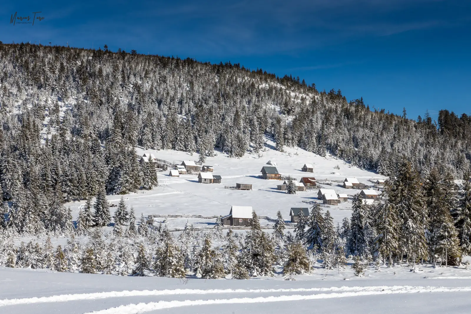  Sute de casute grupate - Marius Turc
