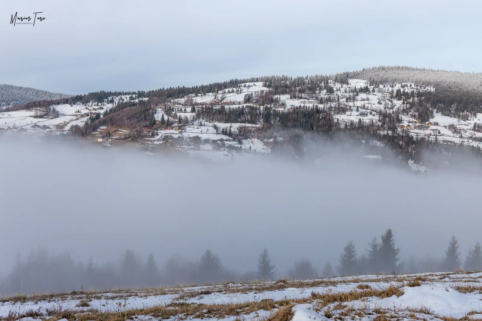 Vedere spre Trifesti - Marius Turc