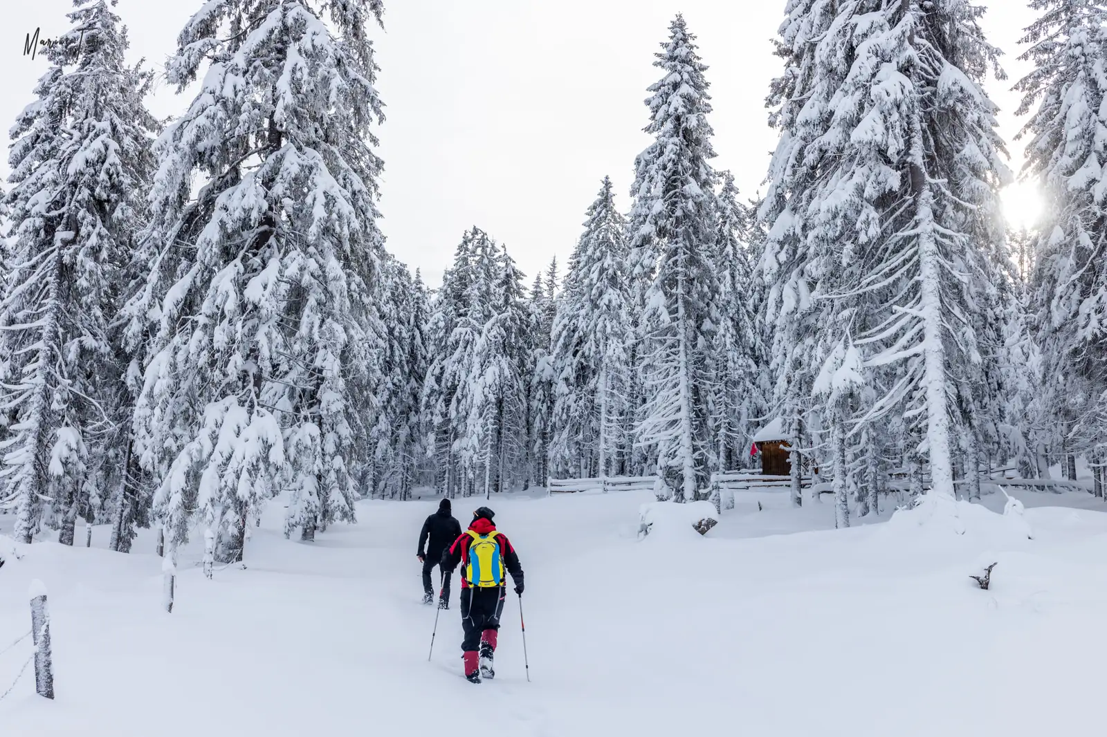  Troita memorialului victimelor accidentului aviatic din Apuseni - Marius Turc