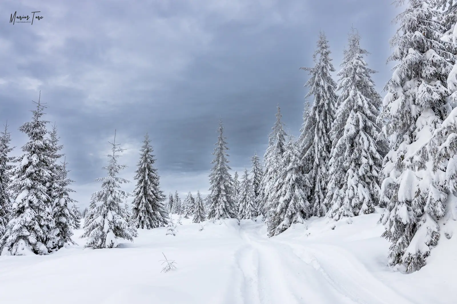  Drumul alb spre Saua Apa Cumpanita - Marius Turc