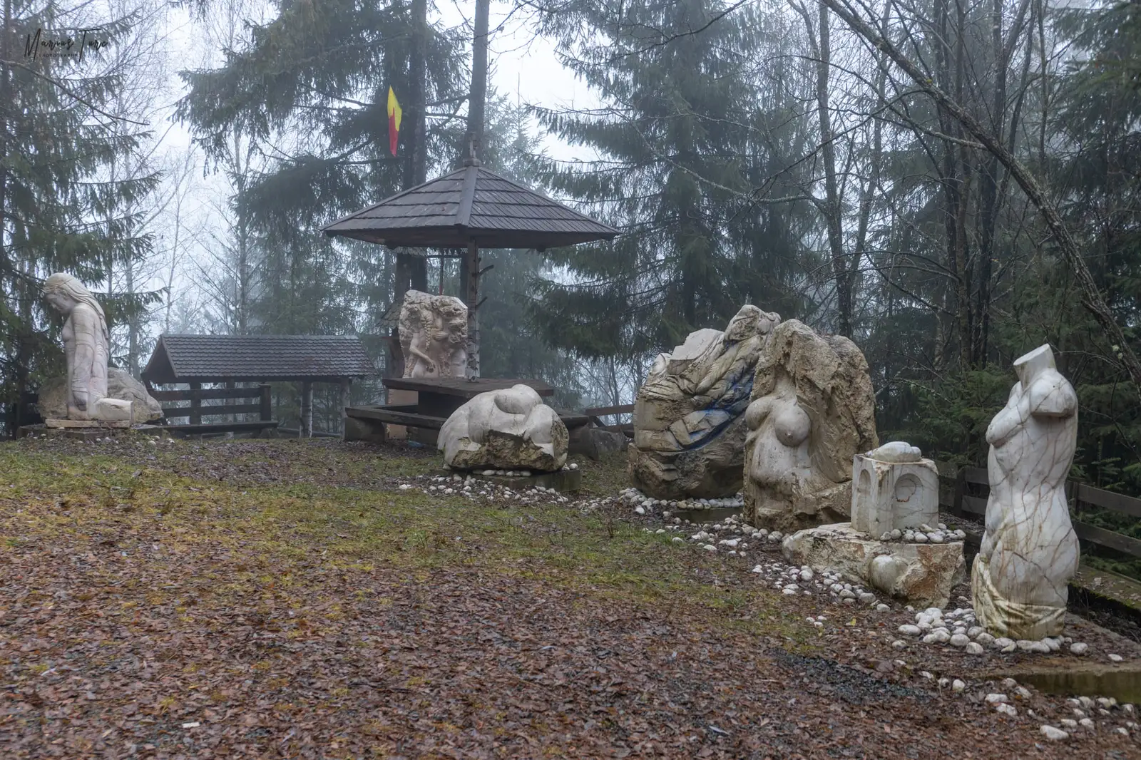  Dambul lui Gaf - Marius Turc