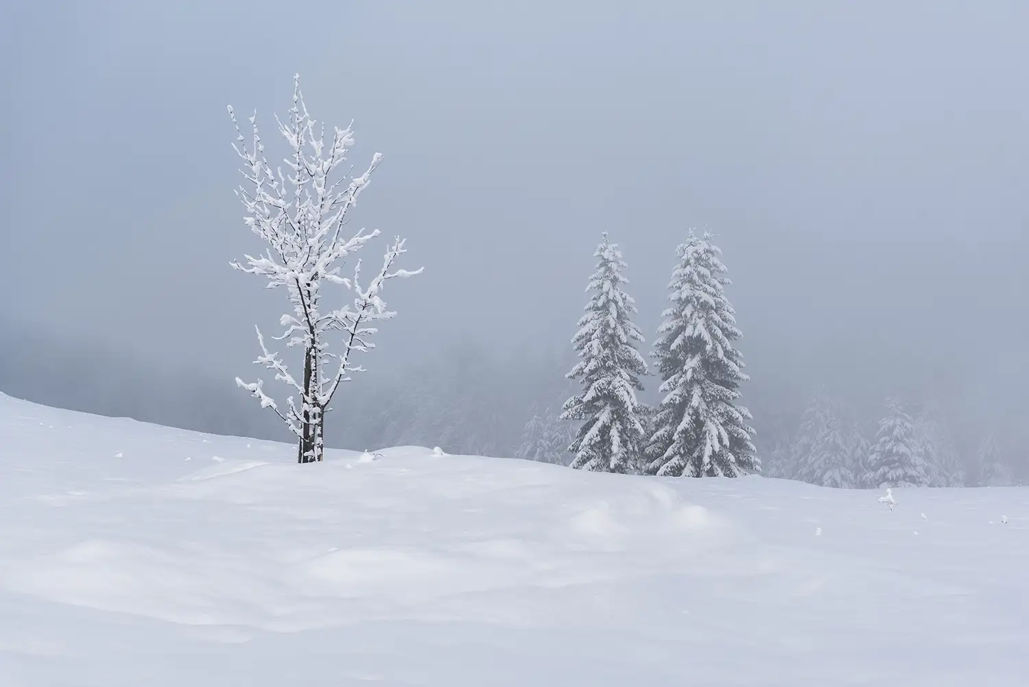Vârful Cucurbăta Mică