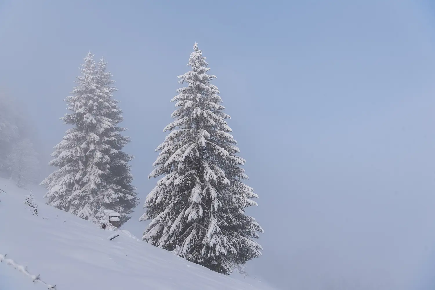 Vârful Cucurbăta Mică