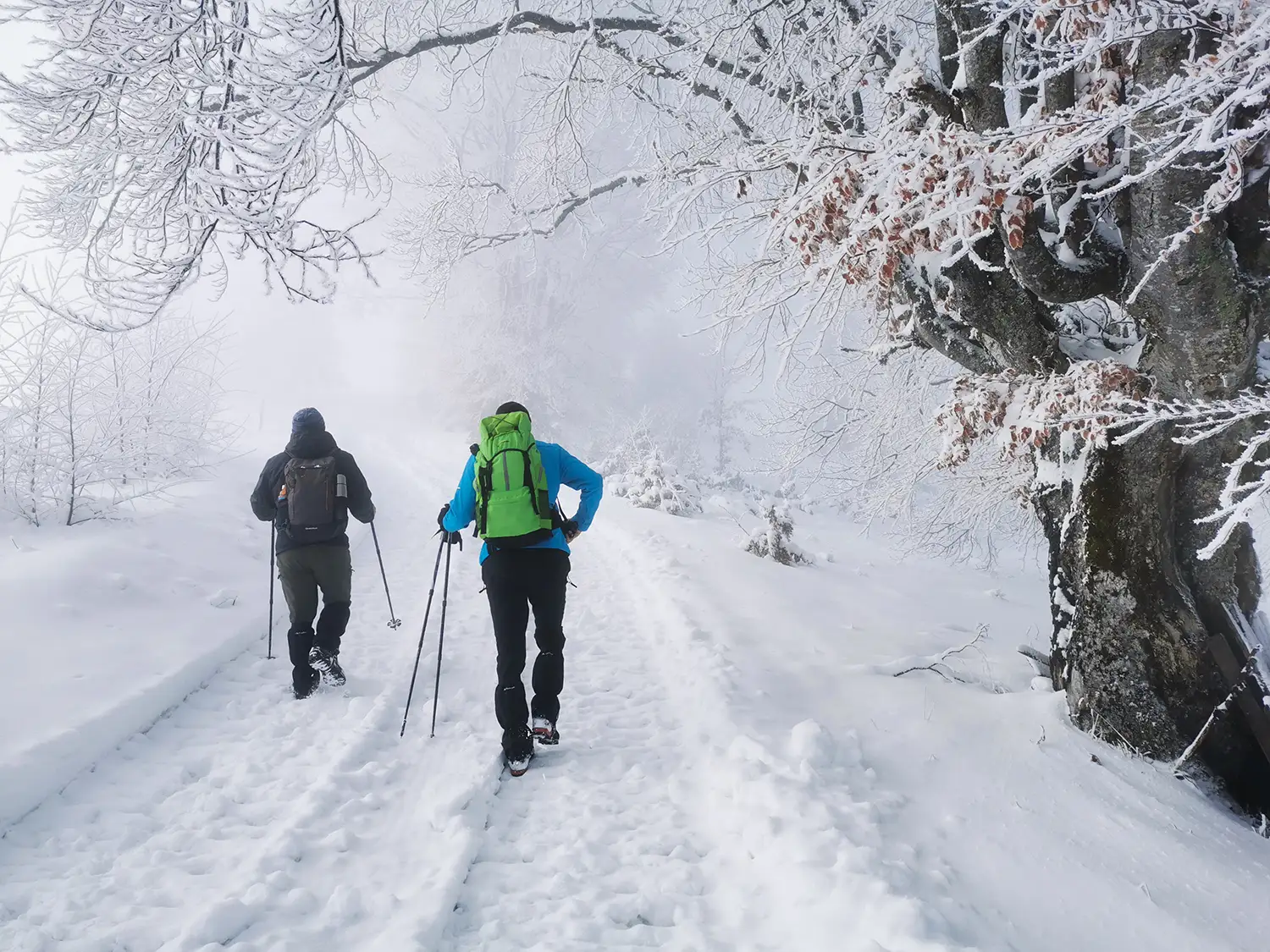 Vârful Cucurbăta Mică