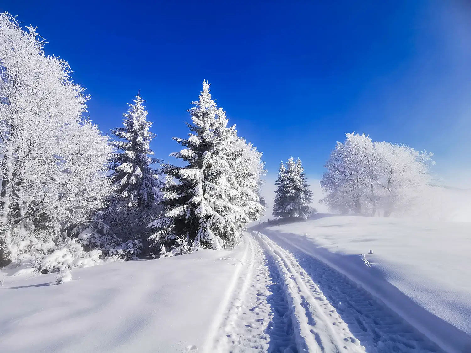 Vârful Cucurbăta Mică