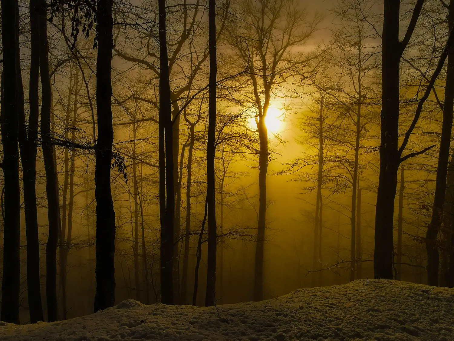 Vârful Cucurbăta Mică