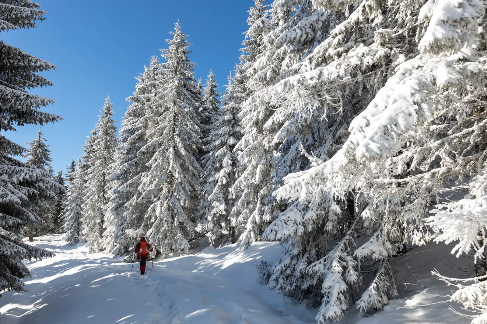  Aproape de iesirea spre Groapa Ruginoasa - Marius Turc