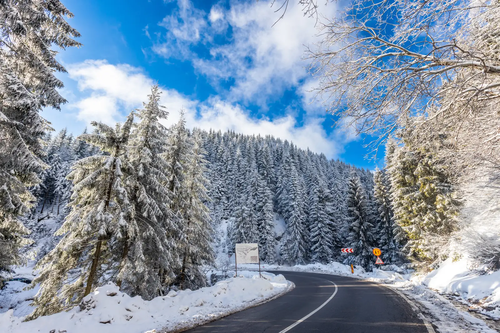  Drumul spre Pietrele Negre - Marius Turc