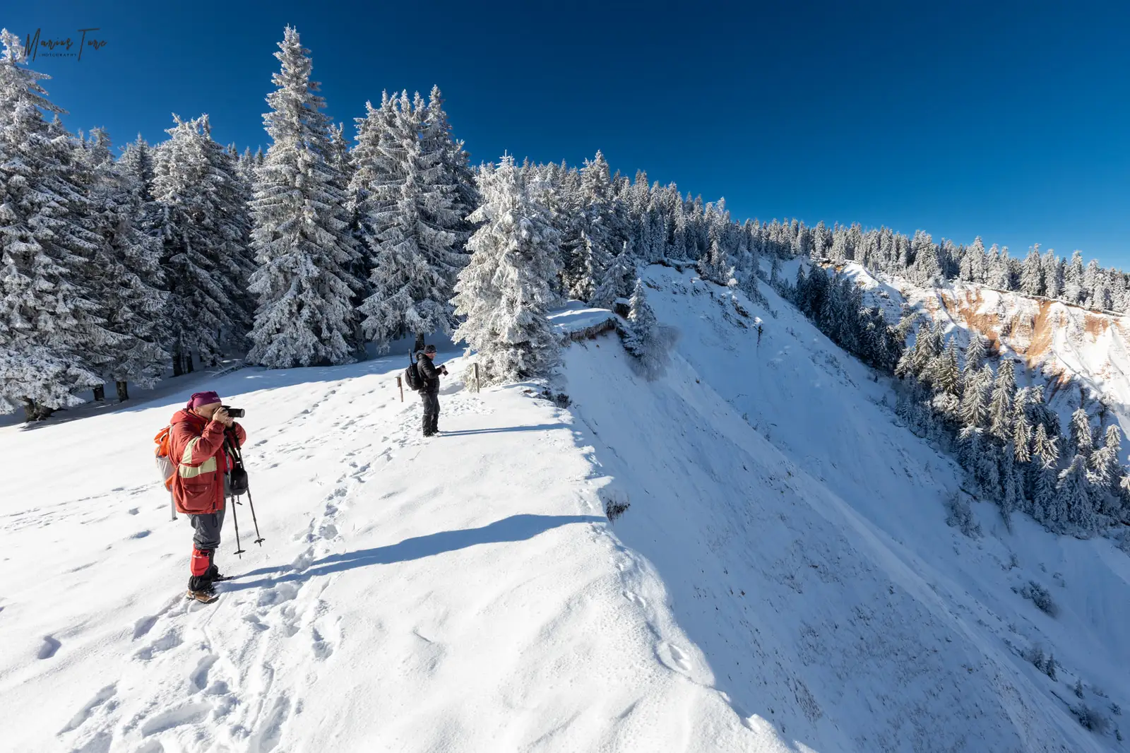  La marginea Gropii Ruginoase - Marius Turc