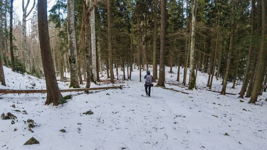 Coborârea pe Cruce albastră - Andrei Pahomi