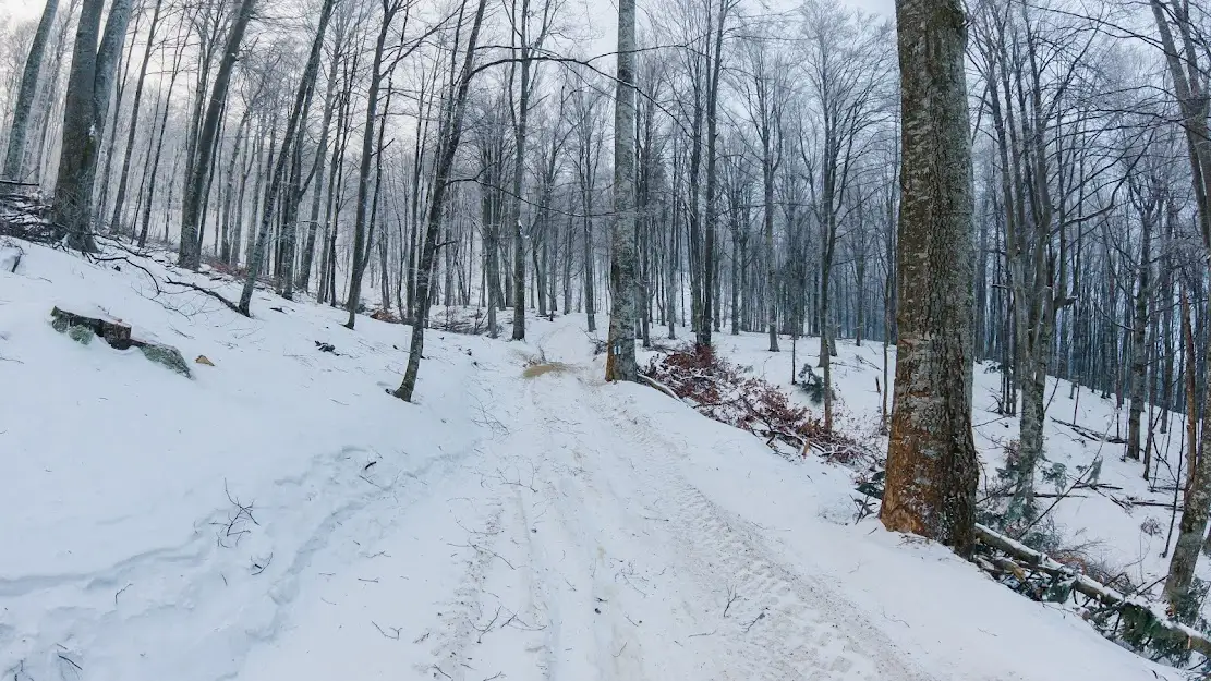 3. Spre Culmea Caprioarei - Andrei Pahomi