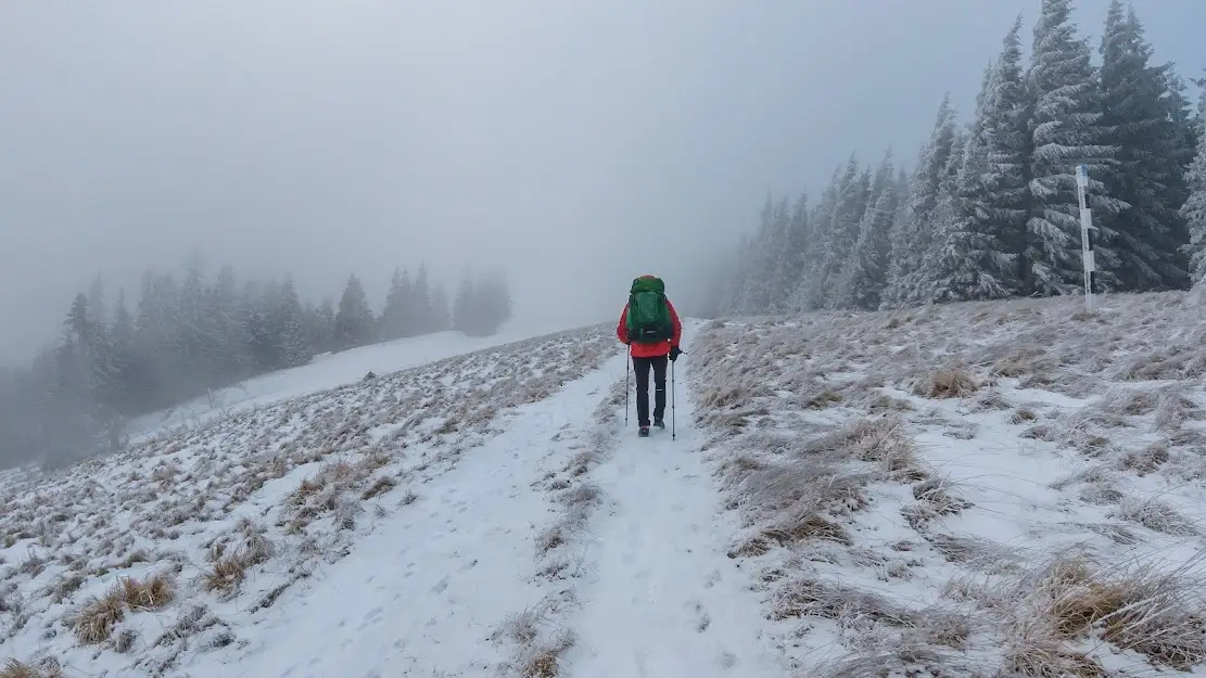 4. Spre Vf Șandru Mare - Andrei Pahomi