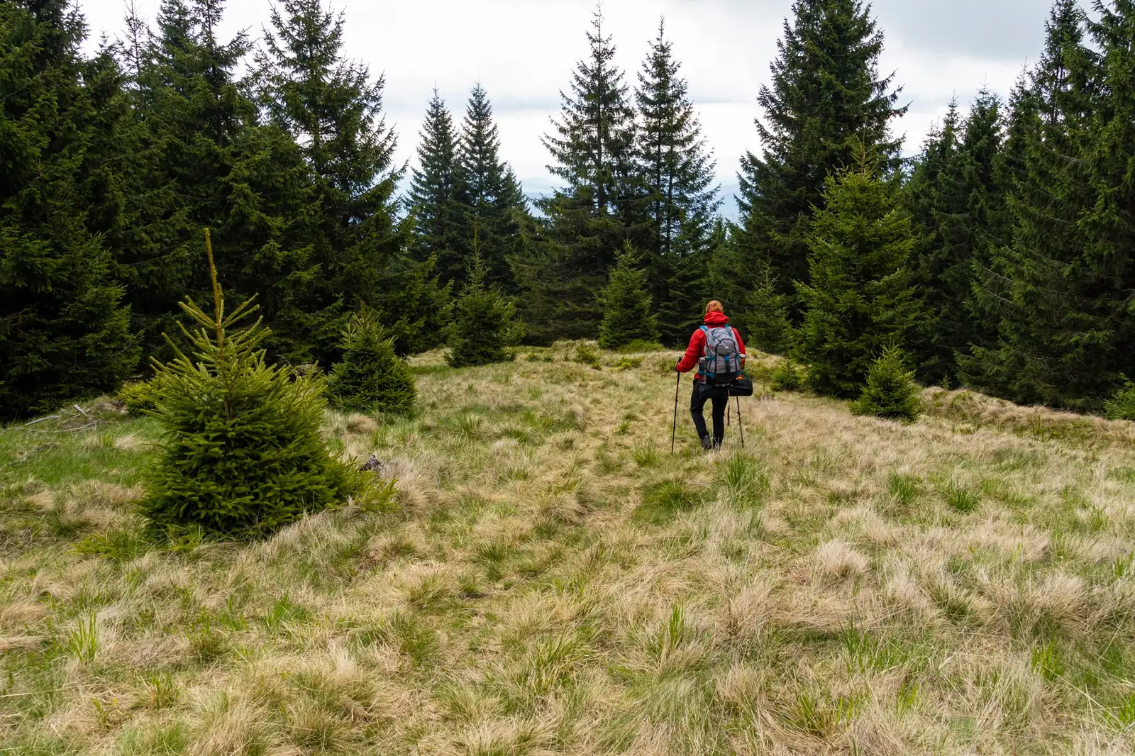 Coborâre spre culmea Plaiul Ciungetului - Andrei Pahomi