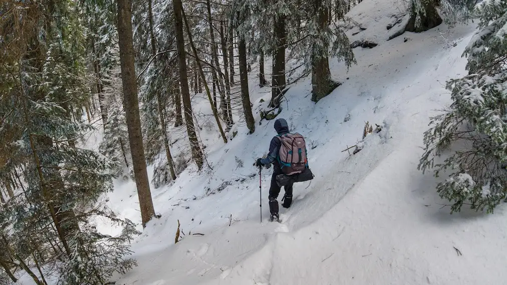 Coborarea din creasta Nemirei - Andrei Pahomi