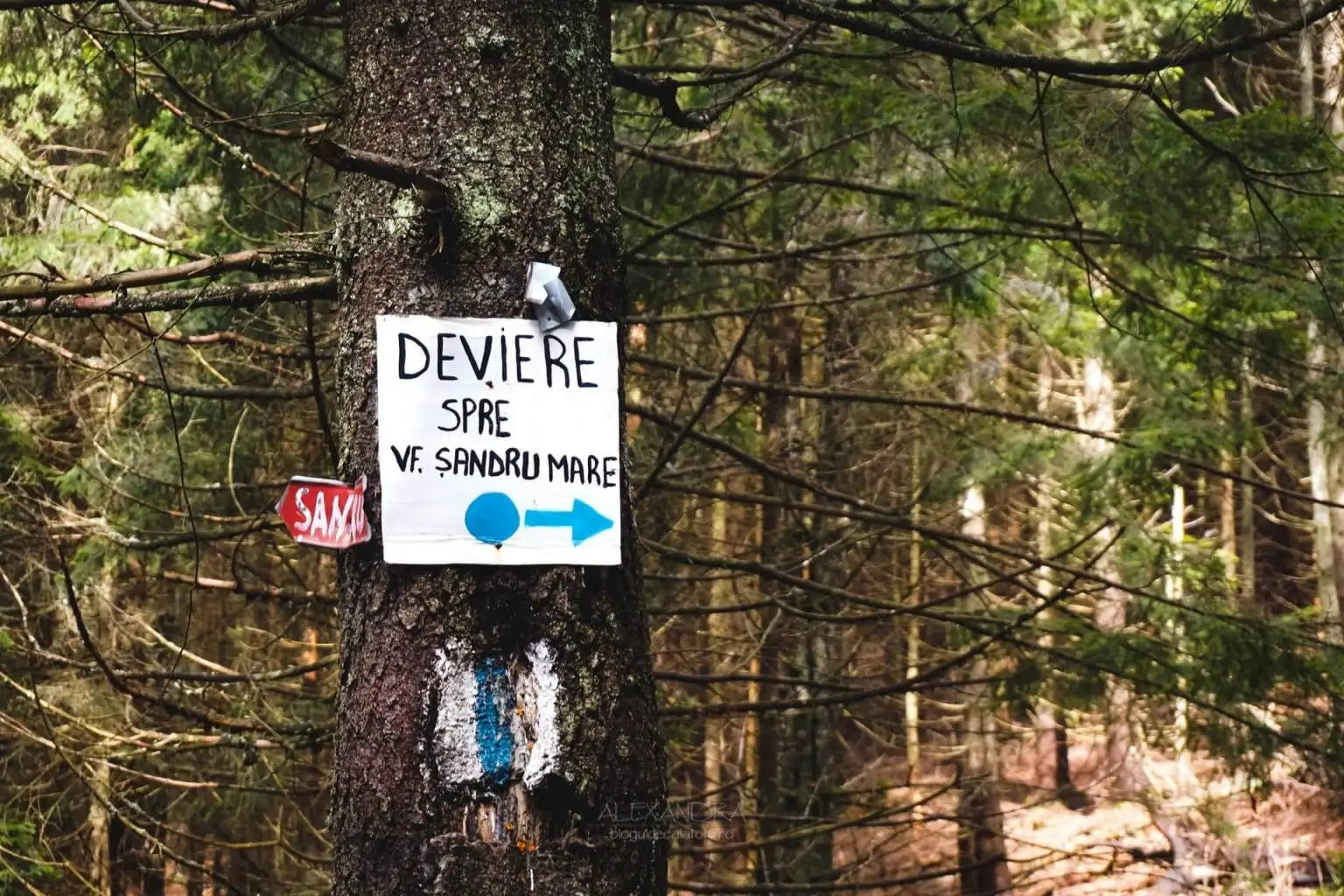 Deviere spre Șandru Mare - Alexandra Puscasu
