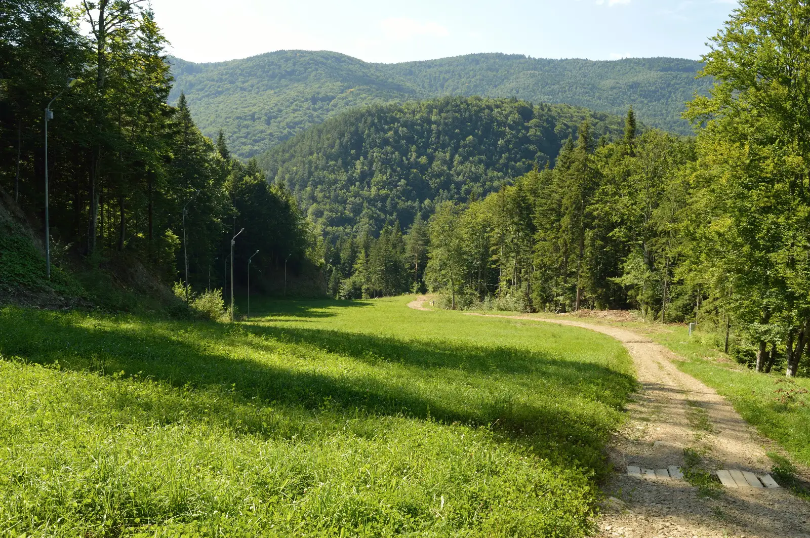 Partia de schi Nemira