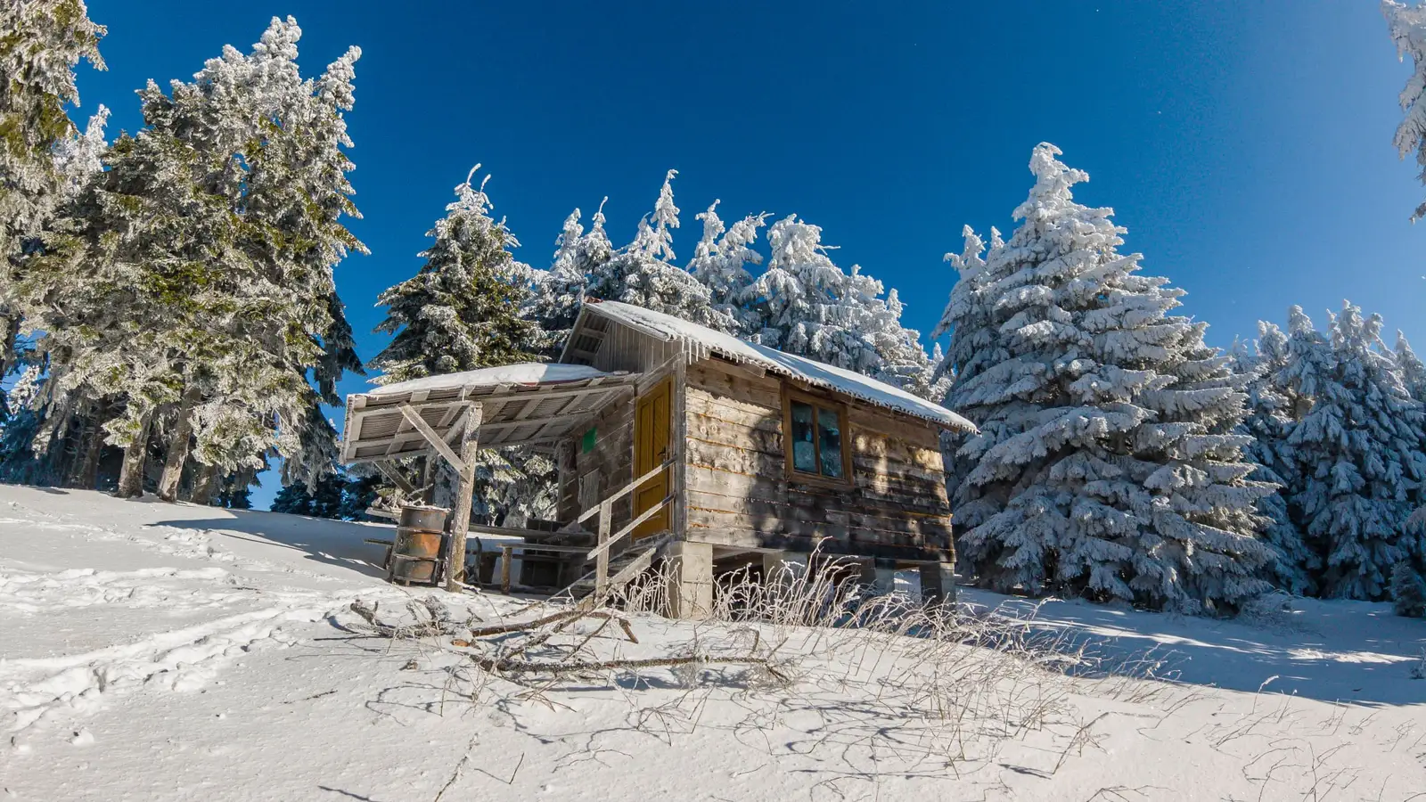 Refugiul Unguresc - Andrei Pahomi