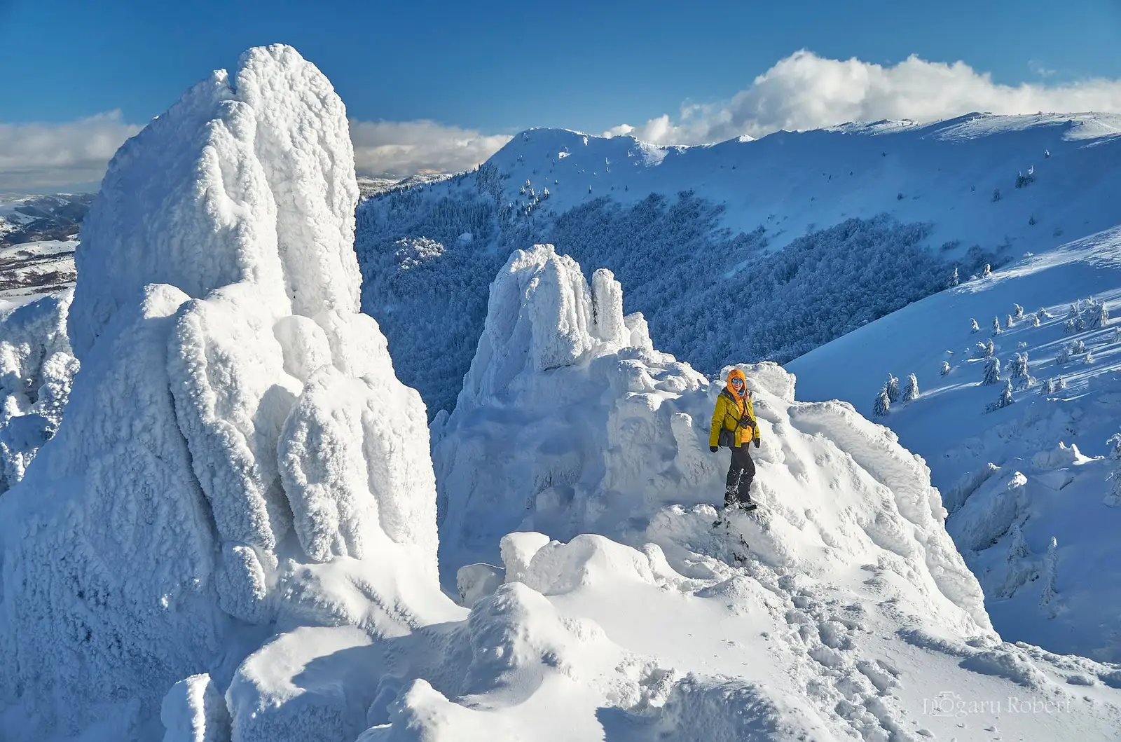 Pe creasta Cocosului - Robert Dogaru