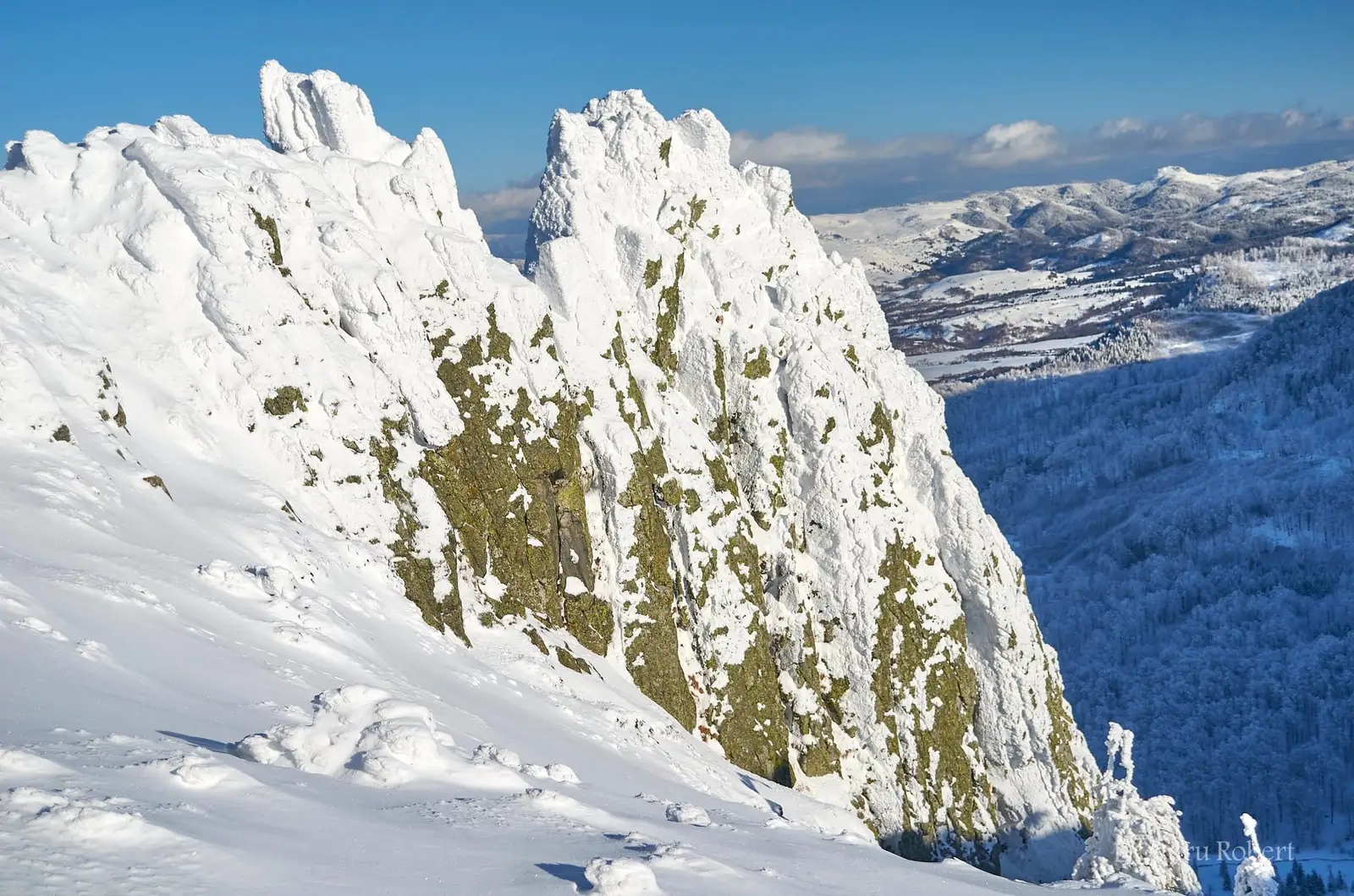 Pinten din Creasta Cocosului - Robert Dogaru