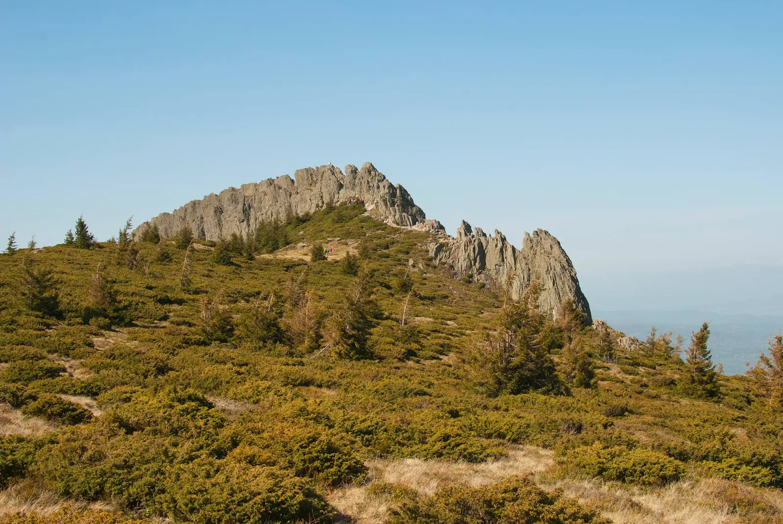 Creasta Cocosului - Călin Precup