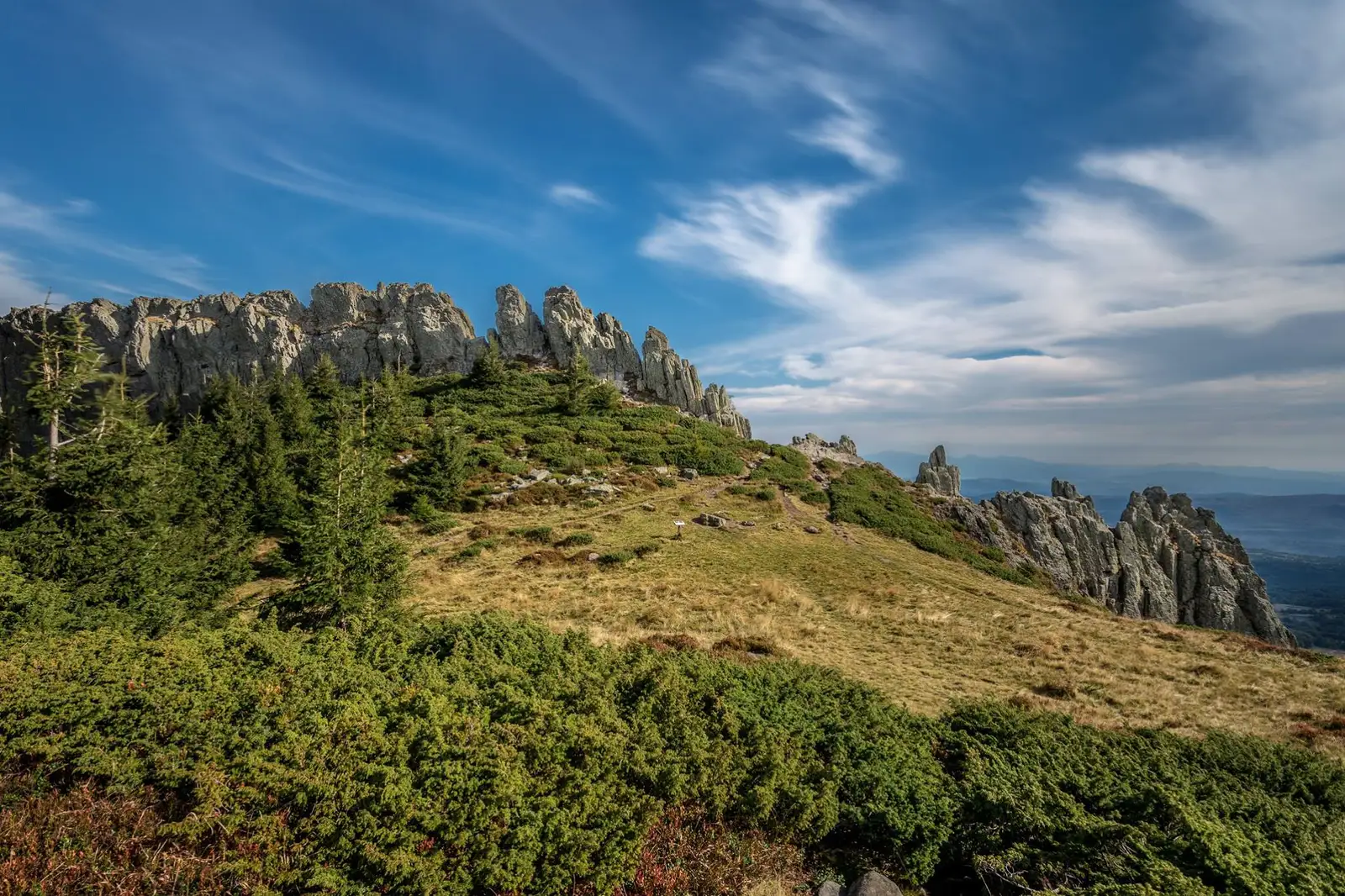 Creasta Cocosului - Florin Băraș