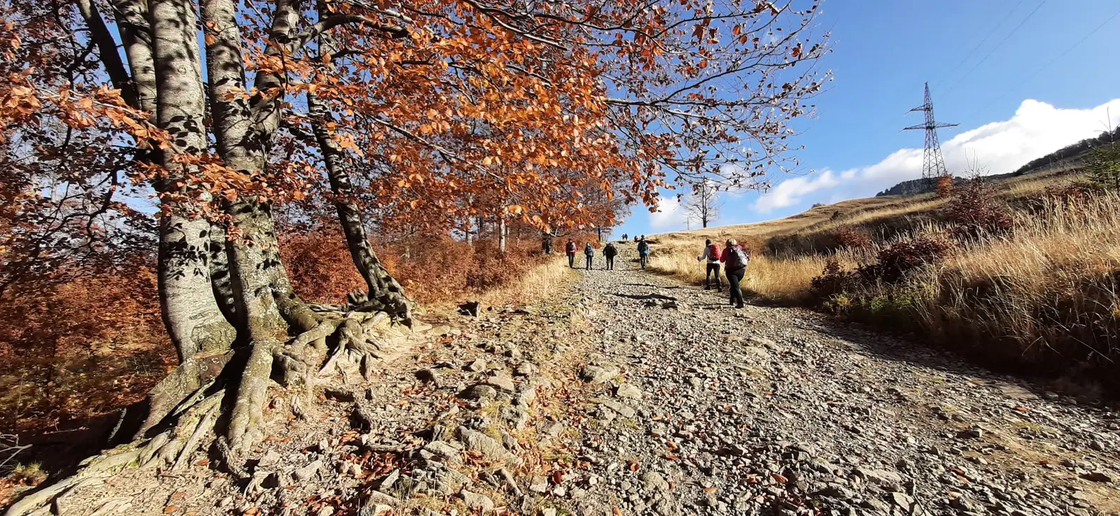 Drumul Mariutii din masivul Gutai - Petri Doina