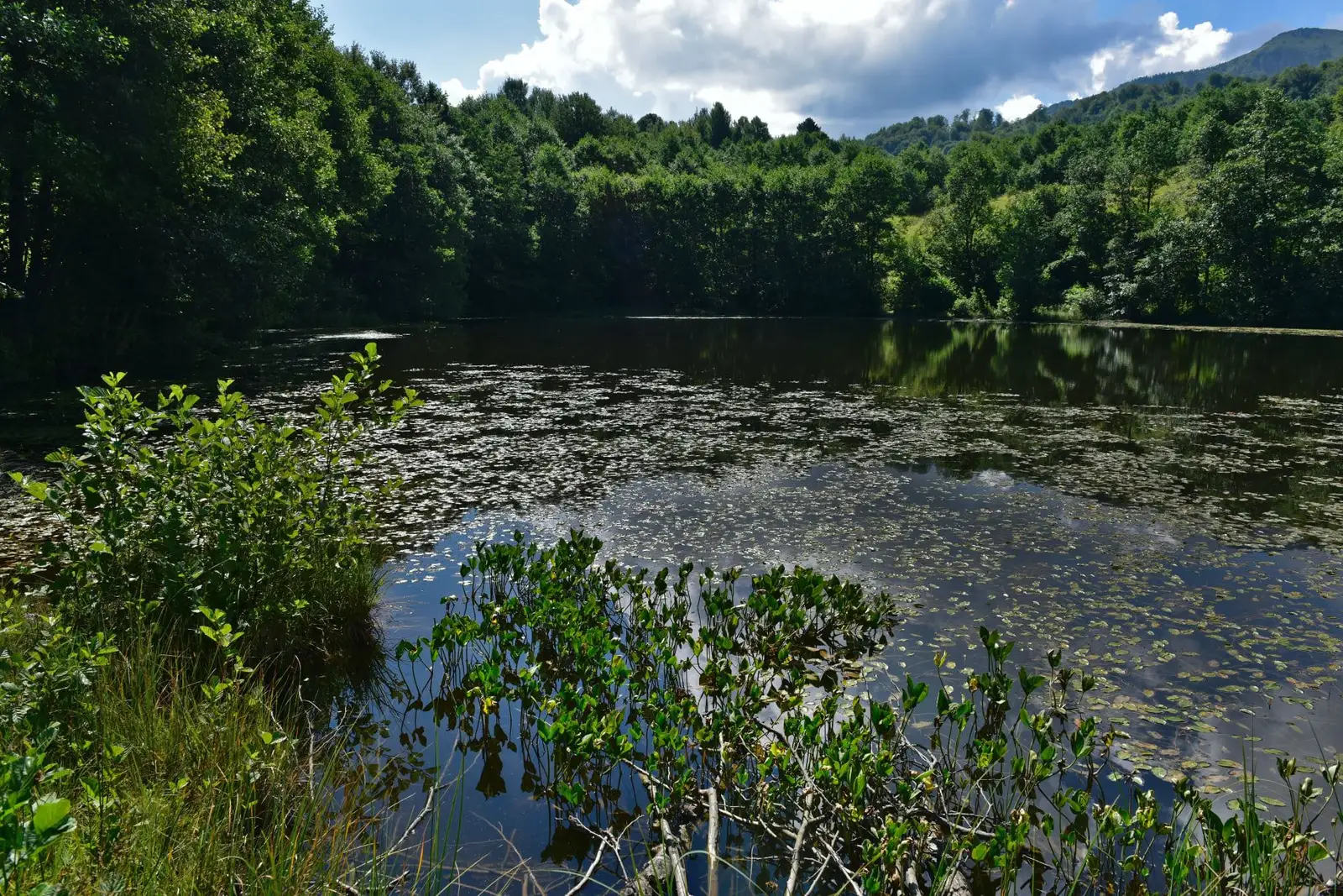 Tăul Morărenilor - Eco Maramures