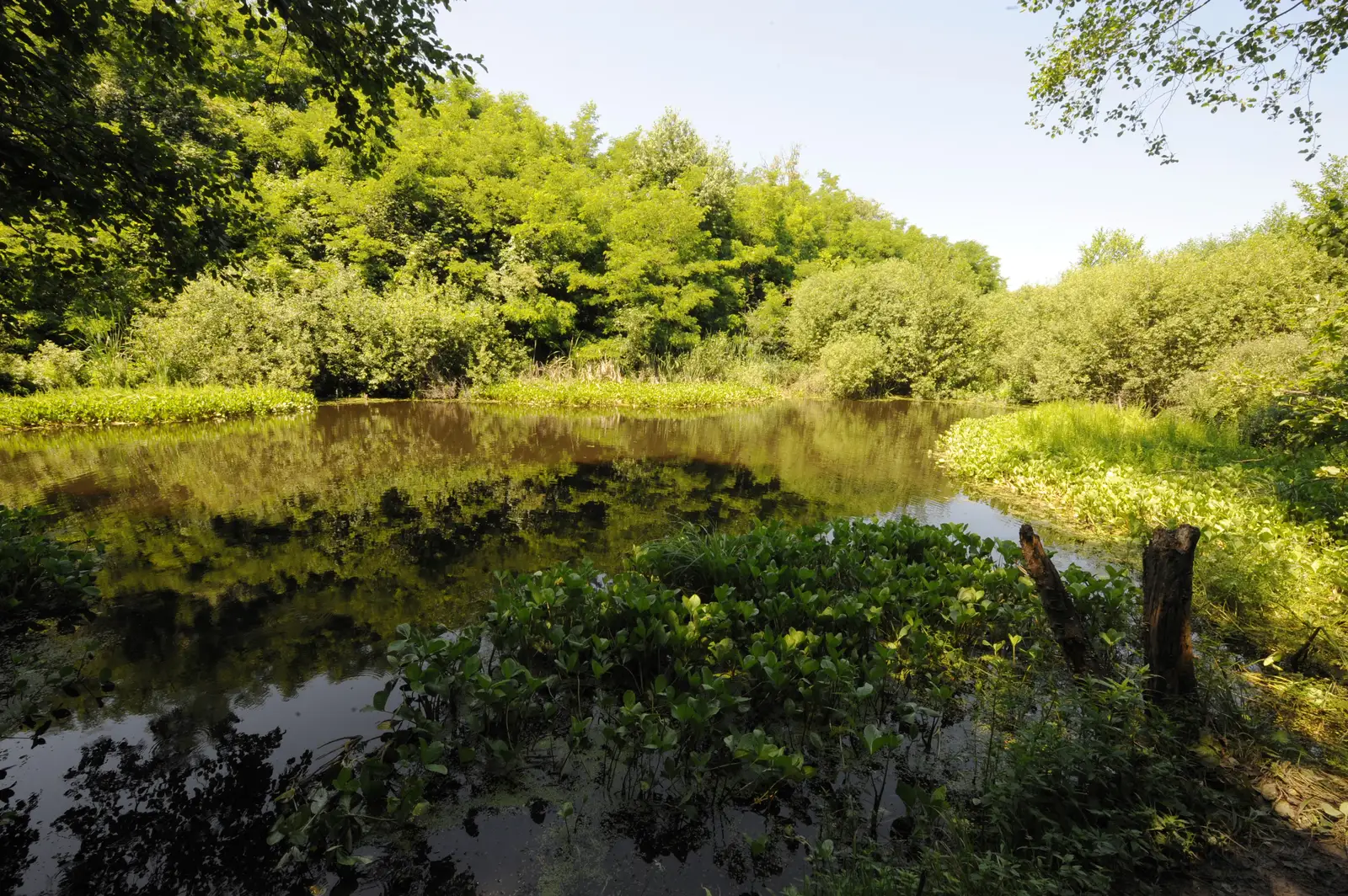 Tăurile de la Hoteni - Peter Lengyel