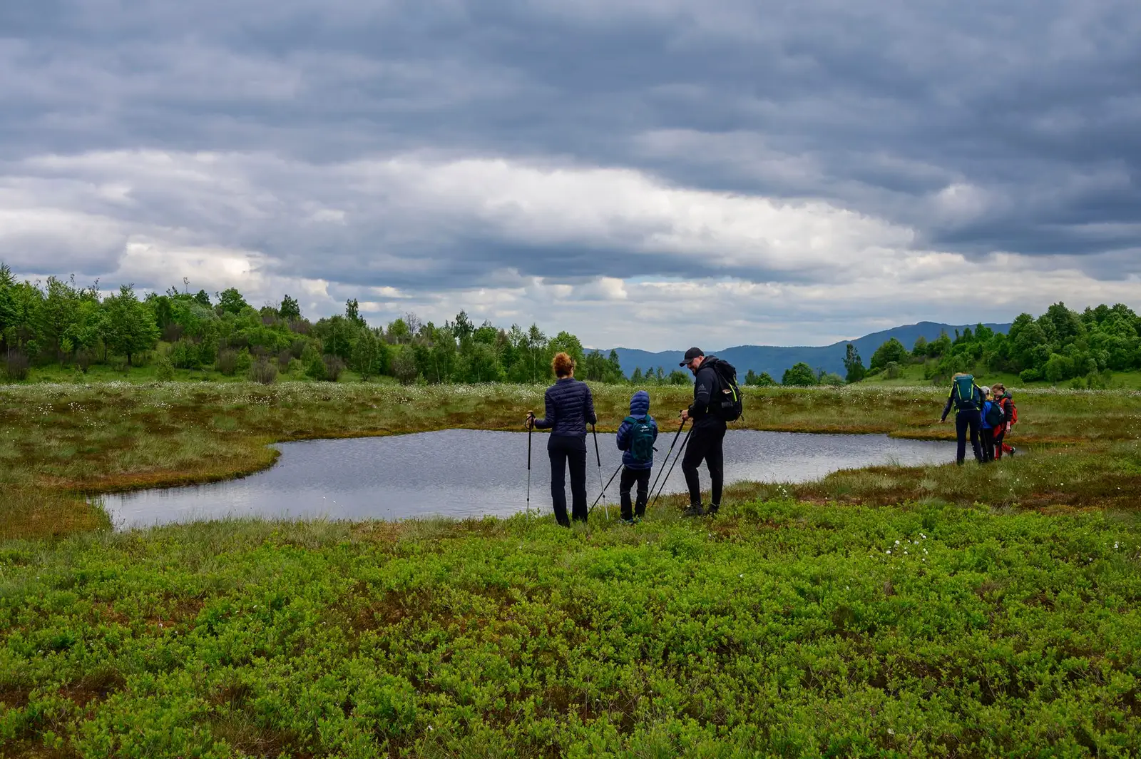 Turbaria Iezerul Mare - Eco Maramures