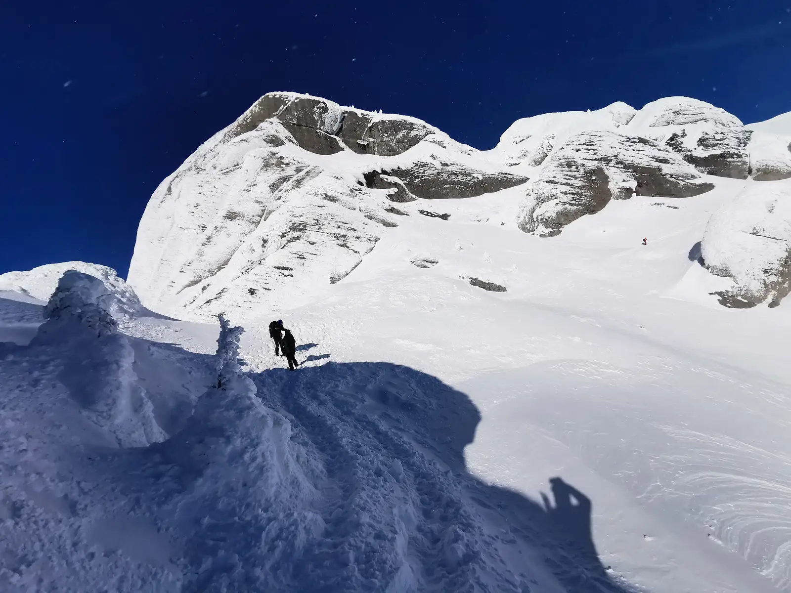  Pana in Saua Tigailor