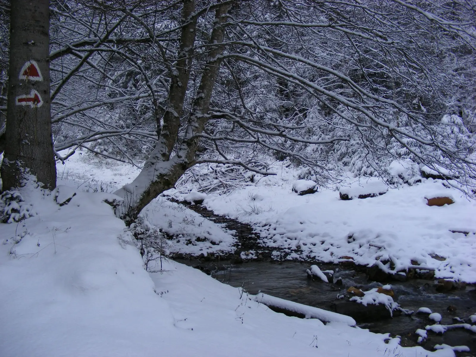 trecere peste rau - Gavrila Albert