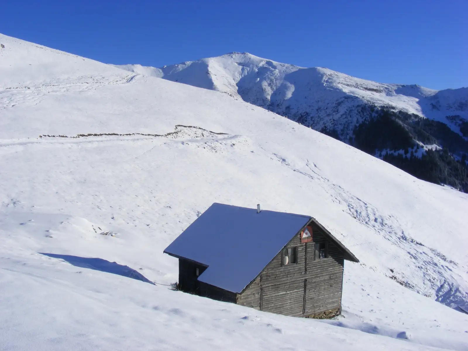 Refugiul Curățel - Gavrila Albert 