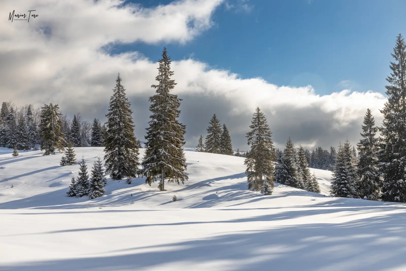  Sesul Padis - Marius Turc
