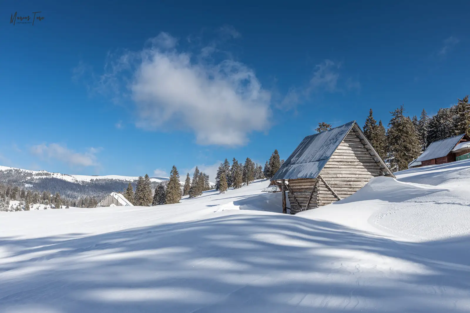 Salase de vara - Marius Turc