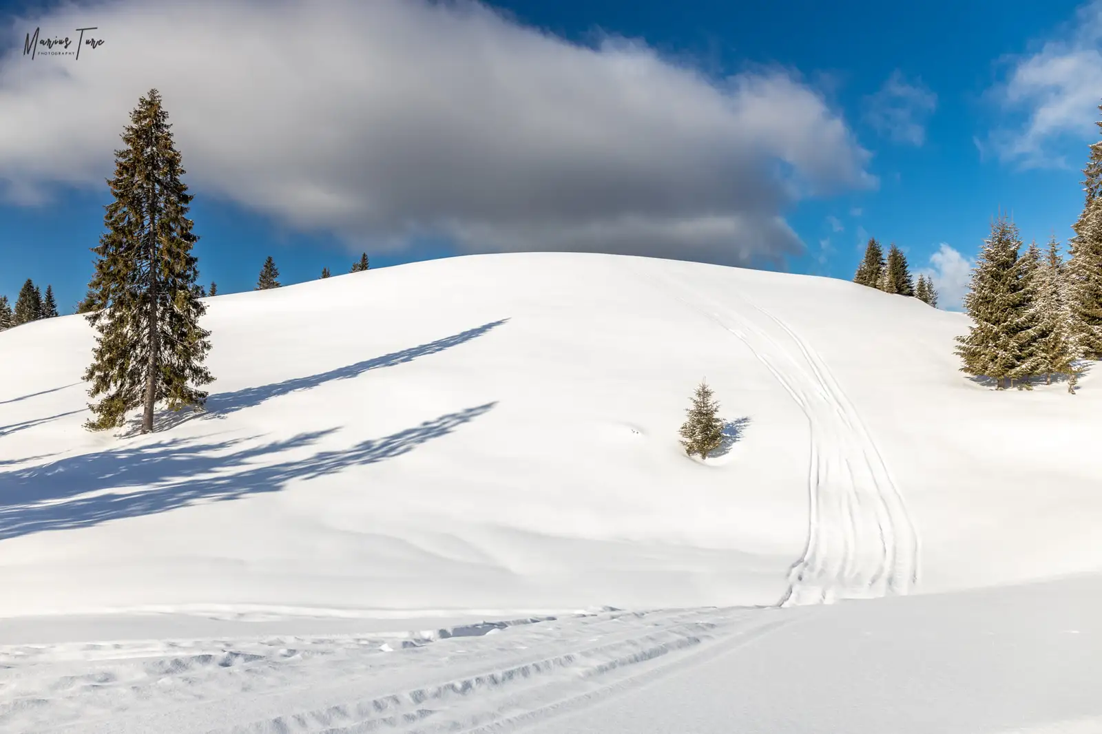  Urmele snowmobilelor - Marius Turc