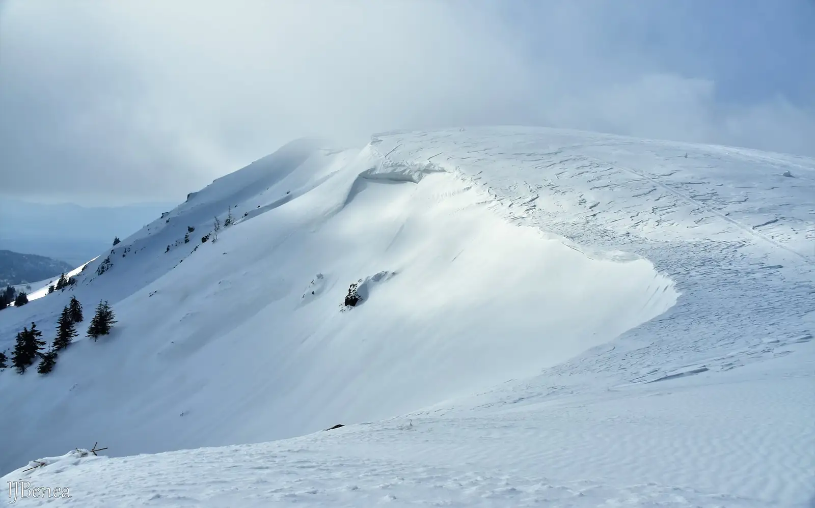  Culmea Carligate - Ioan Benea Jurca