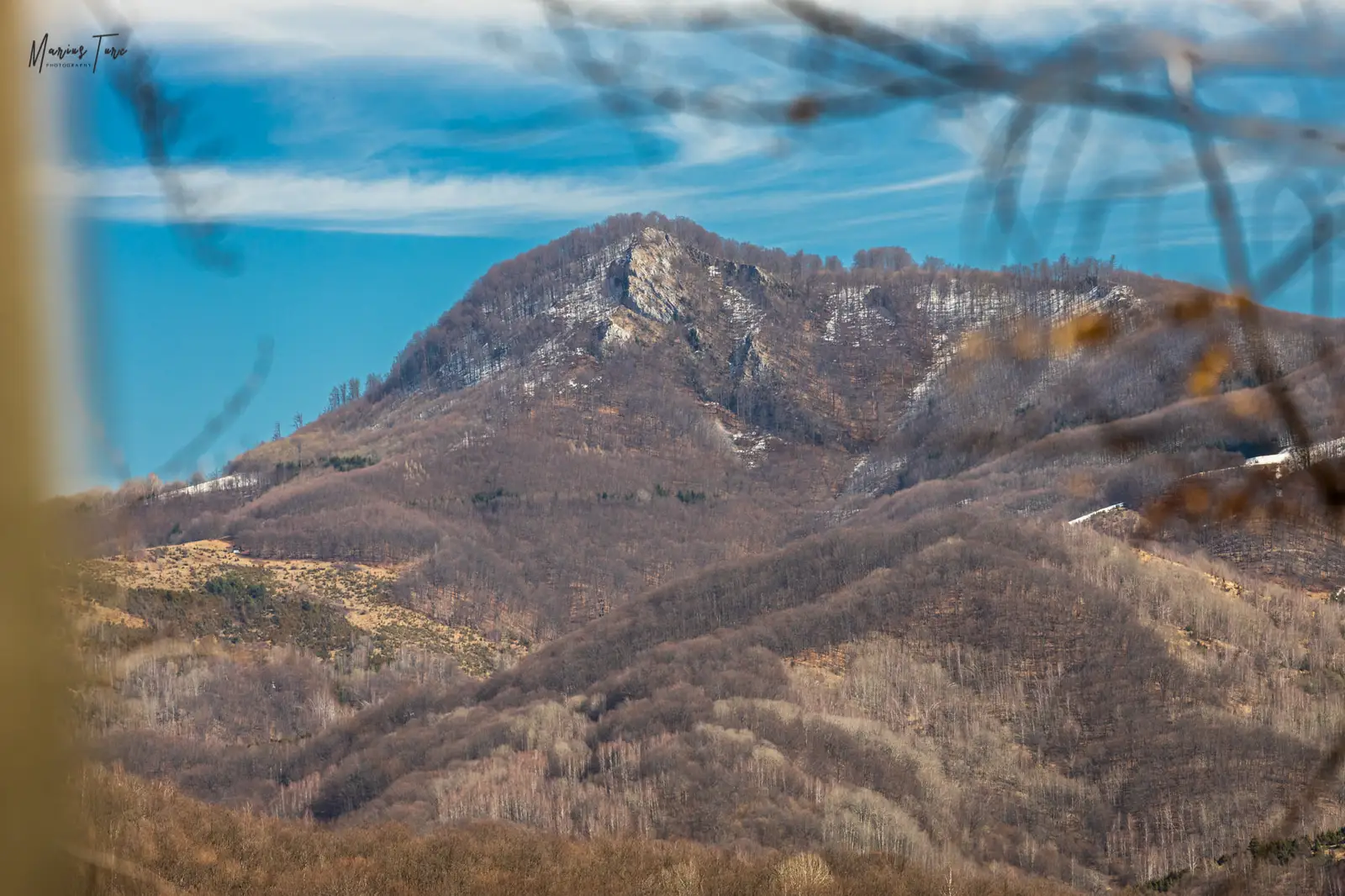  Bulzul Tomnatecului (Bulzisor) - Marius Turc
