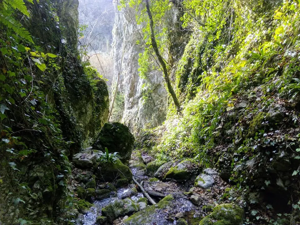  Canionul Toplița - Cheile Ribicioarei - Marinel Popa