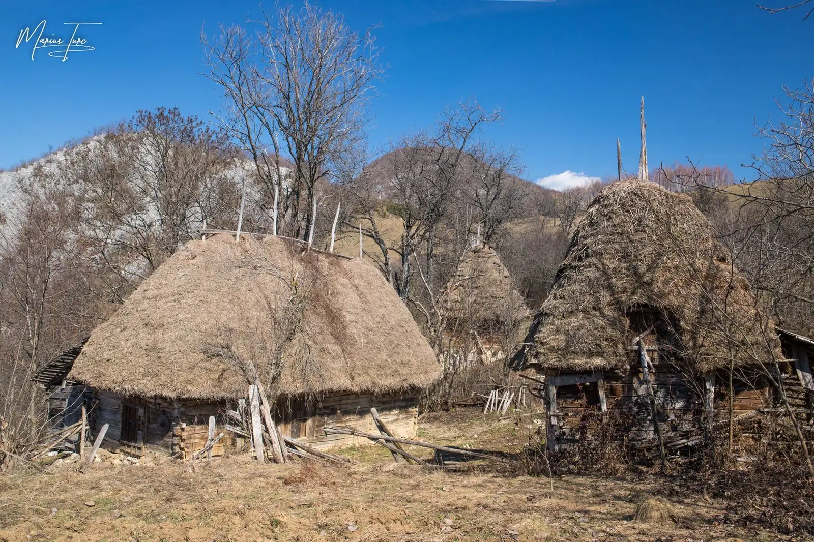  Ionilești - Marius Turc