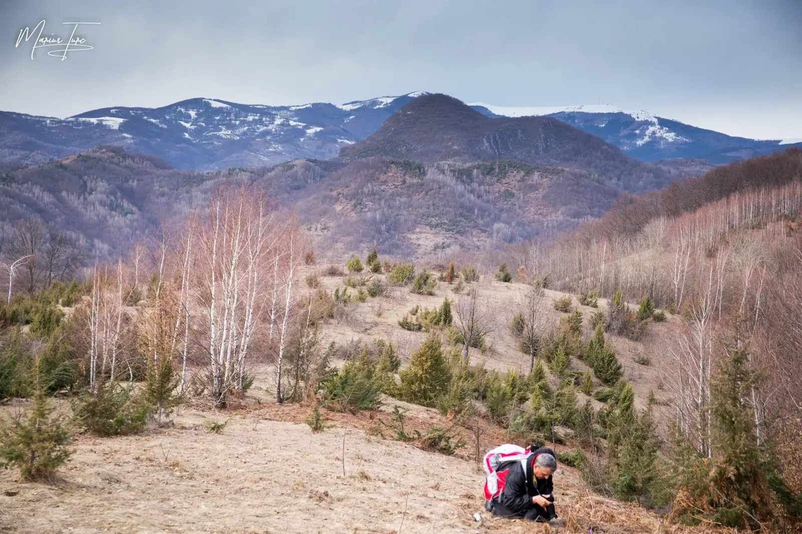  Muntele Gaina in fundal - Marius Turc