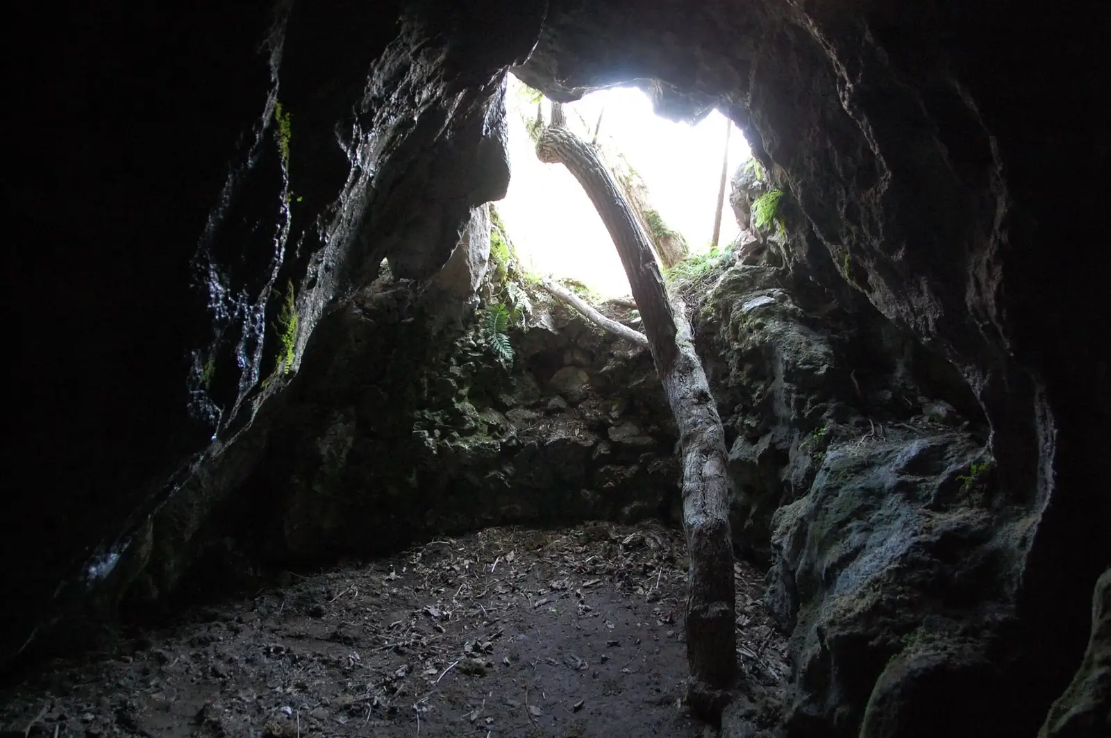  Peştera Cizmei - Monica Dușan