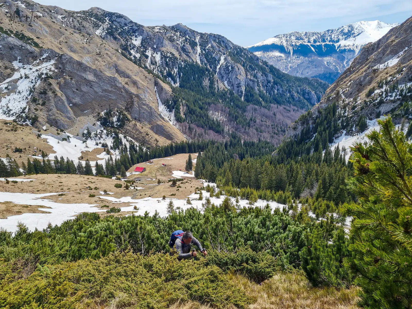  Lupta cu jnepenii - Marius Turc