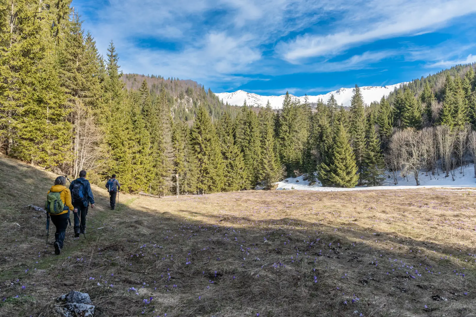  Coborand spre Campusel - Marius Turc